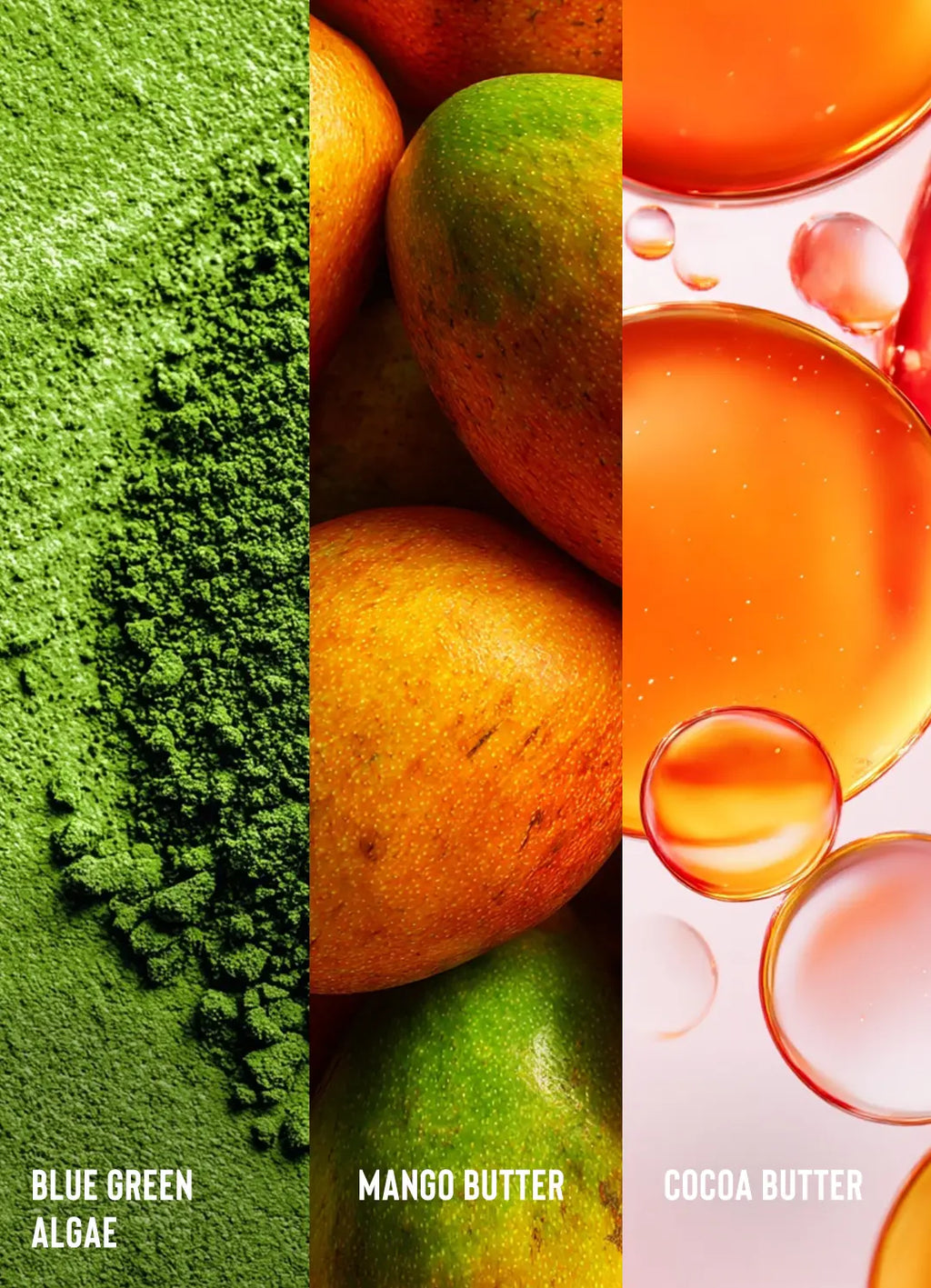 Algae Renew Deep Conditioner