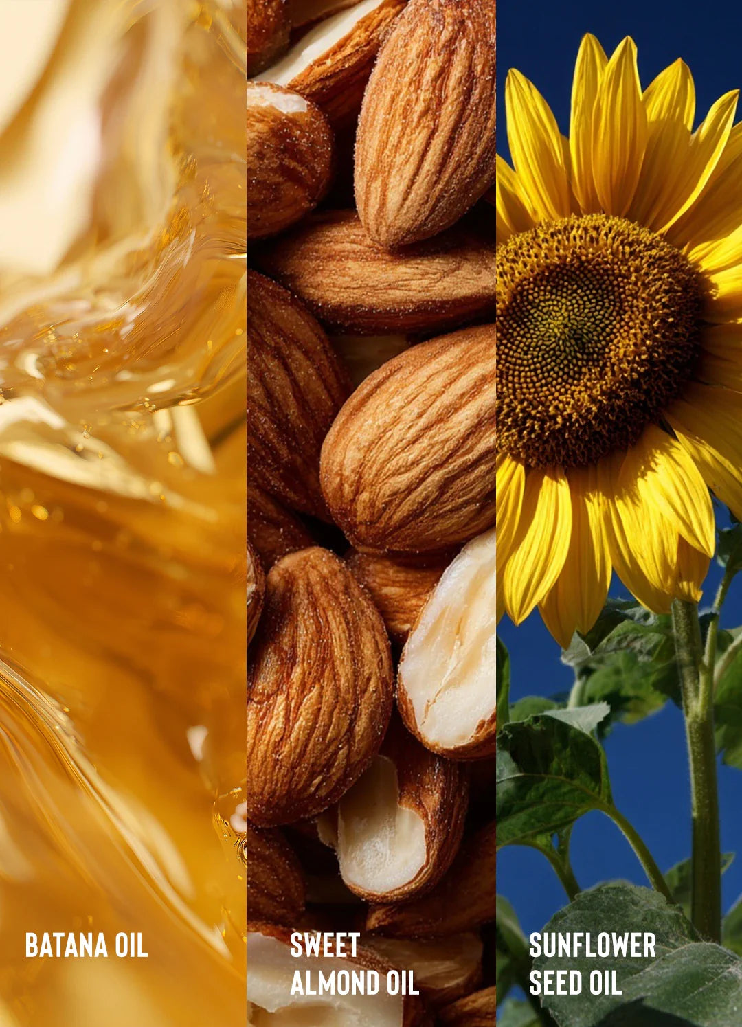 Batana Oil Honduran Miracle Oil