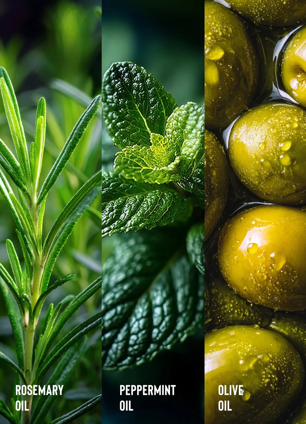 Rosemary Oil Strengthening Leave-In Conditioner