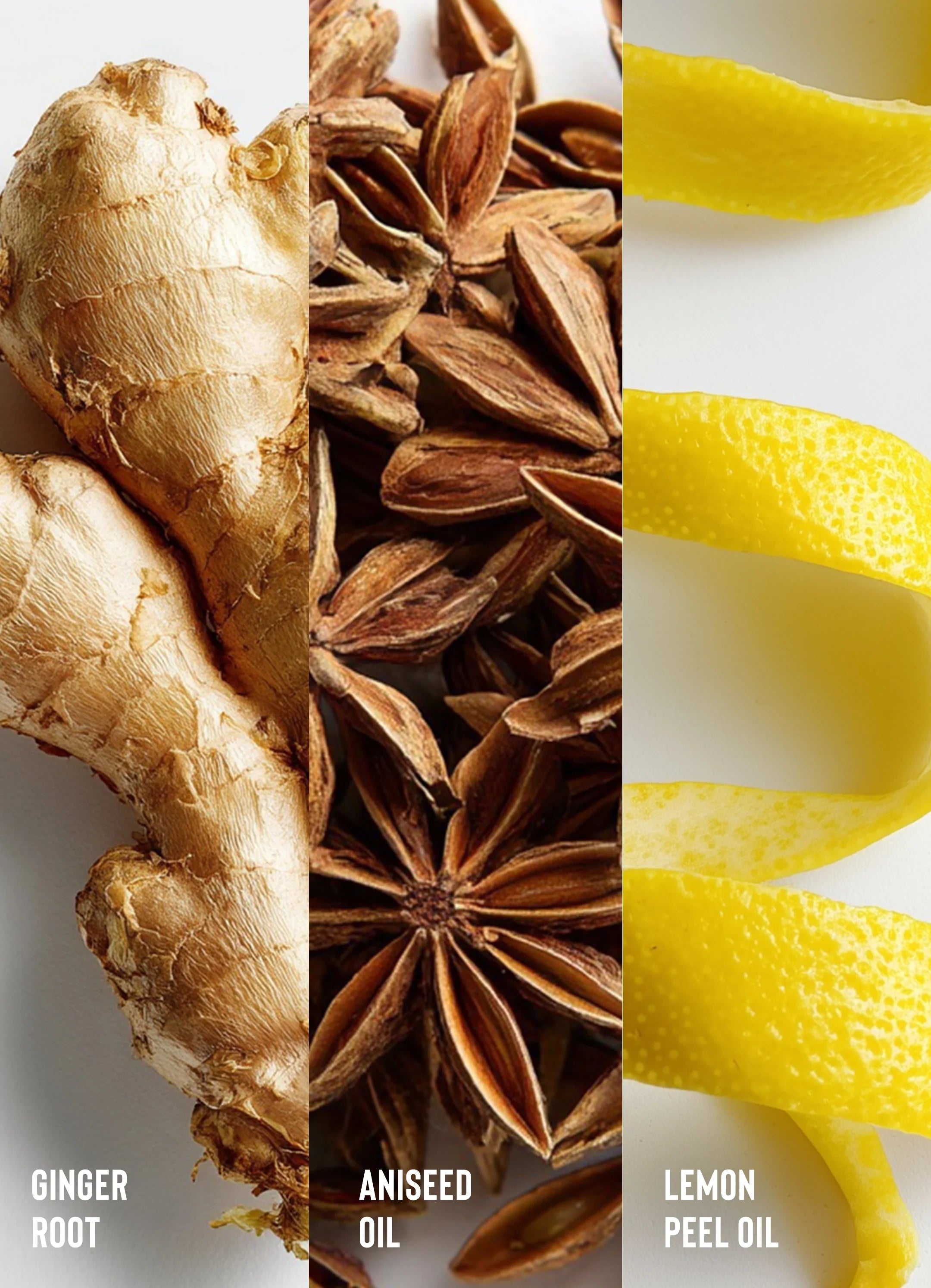 Sweet Ginger Cleansing Rinse